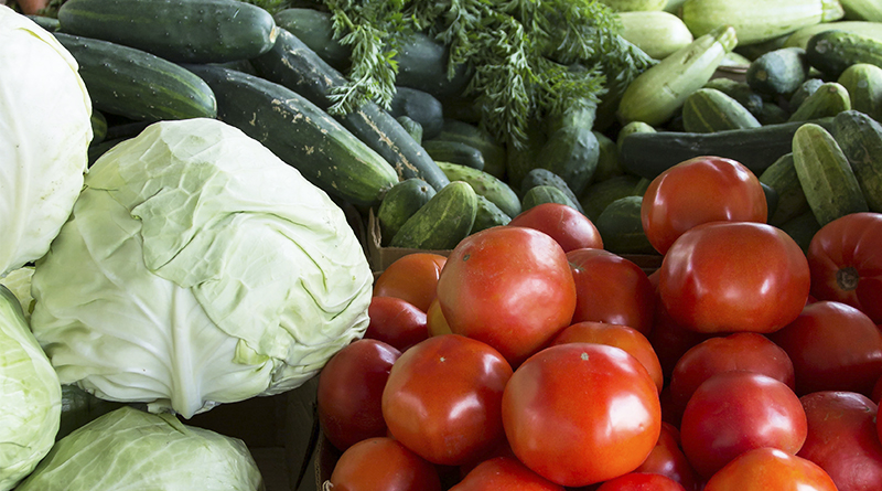 Сидераты для огурцов, картофеля, томатов, капусты. 7 правил использования —Новости Орши
