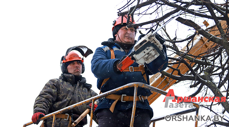 обрезка деревьев, спецавтобаза, кронирование