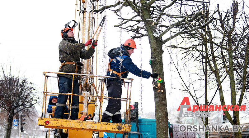 обрезка деревьев, спецавтобаза, кронирование