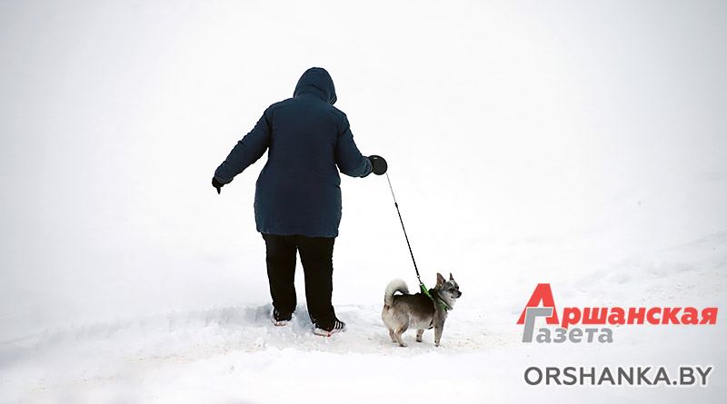 Орша, оршанцы, зима, снег, погода, уборка снега, собачка, выгул собак, прогулка