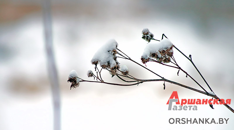 Орша, природа, зима, снег, погода, уборка снега