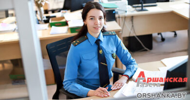 таможня, орша, бремино-орша, болбасово, таможенный пост, оформление, таможенник, граница