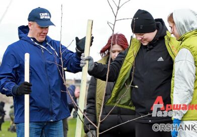 Во время республиканского субботника в Бабиничах заложили яблоневый сад | фото