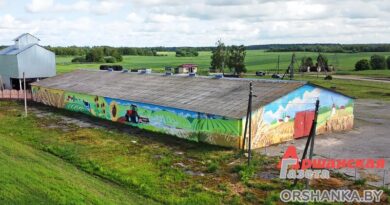 радуньское, орша, трактор орша, мурал, оршанский район