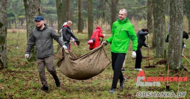 Как оршанцы работают на республиканском субботнике