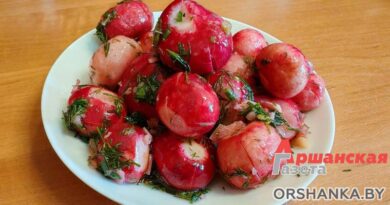 Готовим маленький гастрономический фейерверк