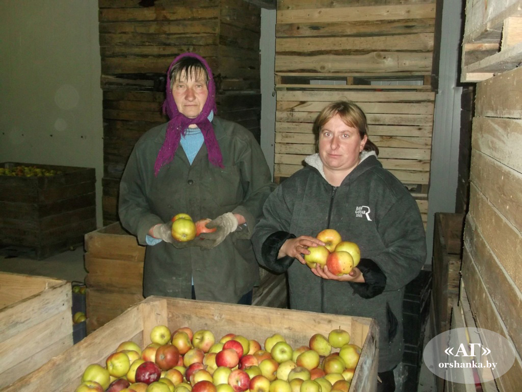 радуньское