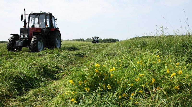 фото www.tribunapracy.by