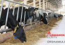 СПК «Лариновка» вошел в топ-3 по производству молока
