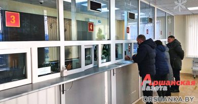 гаи, мрэо заи, увд орша