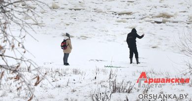 лёд, тонкий лед, днепр, орша, оршанский район, зима