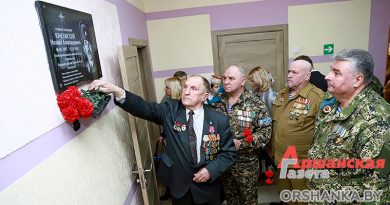 афганцы, оршанский район, борздовка