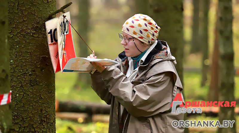 спортивное ориентирование, туризм, лес, турист, карта