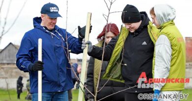 Во время республиканского субботника в Бабиничах заложили яблоневый сад | фото