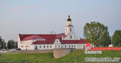 В Орше 22 мая пройдет культурно-развлекательный проект «Ночь в музее» В Орше 22 мая пройдет культурно-развлекательный проект «Ночь в музее»