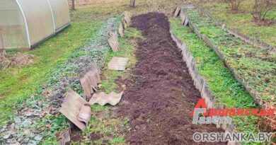 Как сделать почву плодородной?