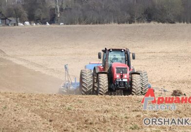 На Оршанщине активными темпами идет посевная кампания
