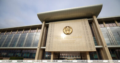 Лукашенко подписал указ о приеме в белорусское гражданство 230 человек