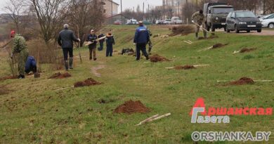 Депутаты Оршанского райсовета активно включились в наведение порядка