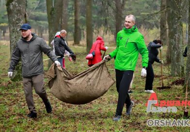 Как оршанцы работают на республиканском субботнике | фото