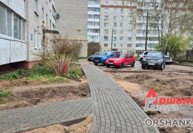 В Оршанском районе приступили к ремонту дворовых территорий