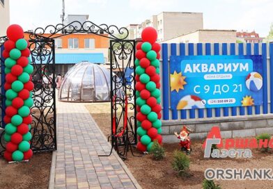 В Орше открылась зона отдыха «Аквариум» В Орше открылась зона отдыха «Аквариум»