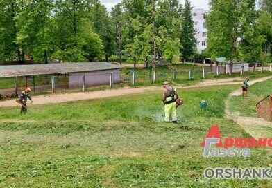 В Орше ведется обкос газонов и дворовых территорий В Орше ведется обкос газонов и дворовых территорий