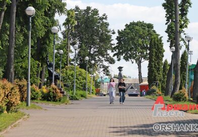 «Аршанка» по просьбе читателей прогулялась по детскому парку «Сказочная страна» в Орше | фото «Аршанка» по просьбе читателей прогулялась по детскому парку «Сказочная страна» в Орше | фото