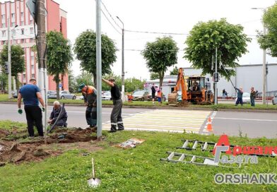 «Аршанка» узнала, есть ли проблема с новым светофором и пешеходным переходом в районе Ремзавода «Аршанка» узнала, есть ли проблема с новым светофором и пешеходным переходом в районе Ремзавода