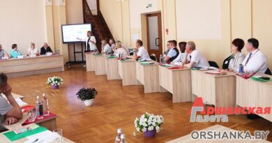 В Орше проходит республиканский семинар по практико-ориентированному обучению В Орше проходит республиканский семинар по практико-ориентированному обучению