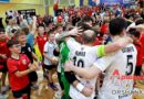 «Витэн» одержал победу в Орше и сравнял счет в финальной серии | фото