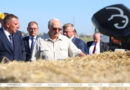 Тест для пресс-подборщика и награды для «Савушкина продукта». Лукашенко посетил Березовский район