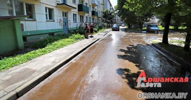 Почему во дворе дома по пер. Инженерному в Орше стоит вода и не косится спортплощадка | фото
