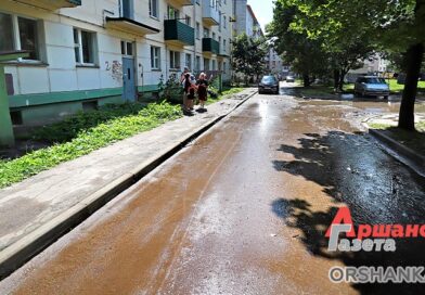 Почему во дворе дома по пер. Инженерному в Орше стоит вода и не косится спортплощадка | фото Почему во дворе дома по пер. Инженерному в Орше стоит вода и не косится спортплощадка | фото