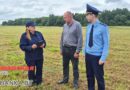 Ход уборочной на контроле прокуратуры Оршанского района Ход уборочной на контроле прокуратуры Оршанского района