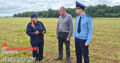 Ход уборочной на контроле прокуратуры Оршанского района