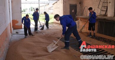 «Аршанка» посмотрела, как работают студотряды на уборочной