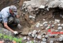 «Аршанка» узнала, какое открытие сделали археологи у стен Софийского собора в Полоцке | фото