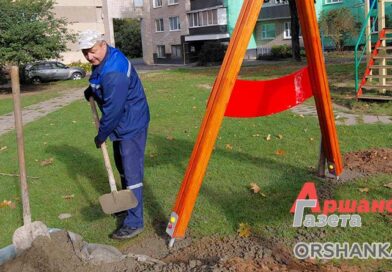 Во дворе по ул. 60 лет БССР в Орше установили новые карусели Во дворе по ул. 60 лет БССР в Орше установили новые карусели