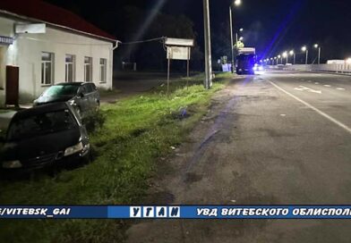 В Оршанском районе в ДТП пострадал пешеход В Оршанском районе в ДТП пострадал пешеход