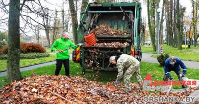 В Орше сегодня проходит районный субботник | фото