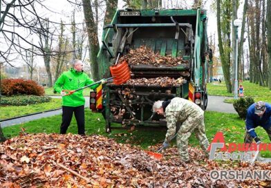 В Орше сегодня проходит районный субботник | фото В Орше сегодня проходит районный субботник | фото
