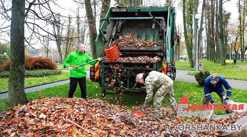 В Орше сегодня проходит районный субботник | фото В Орше сегодня проходит районный субботник | фото