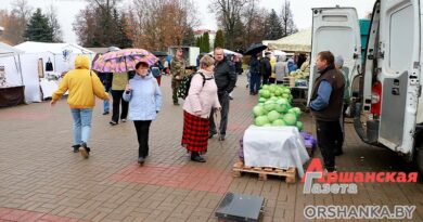 Узнали цены на осенней ярмарке в Орше, которая работает на городской площади | фото